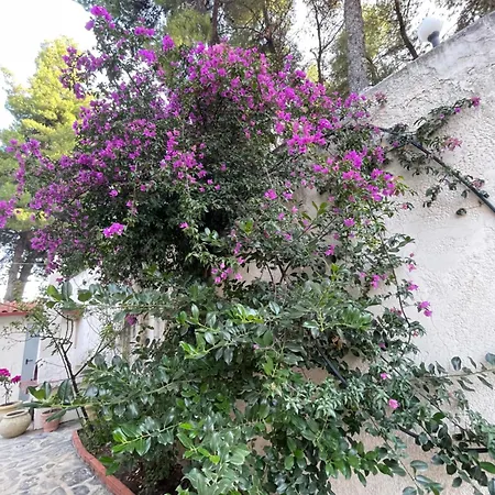 Βίλα Sunny Seaside Villa-90 M From *