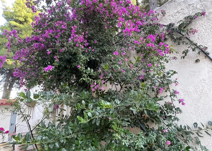 Βίλα Sunny Seaside Villa-90 M From *