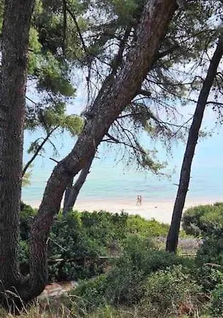 Villa Sunny Seaside Villa-90 M From Kriopigi