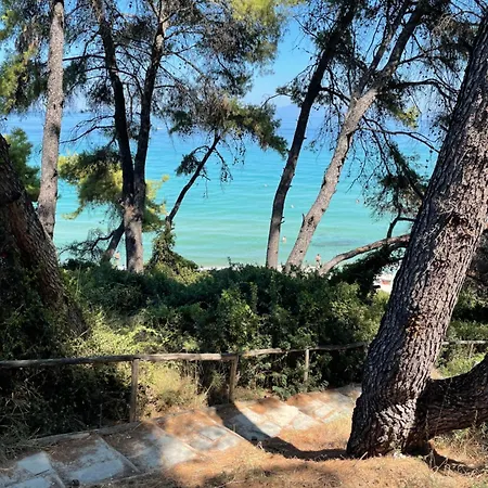 Sunny Seaside Villa-90 M From ヴィラ *